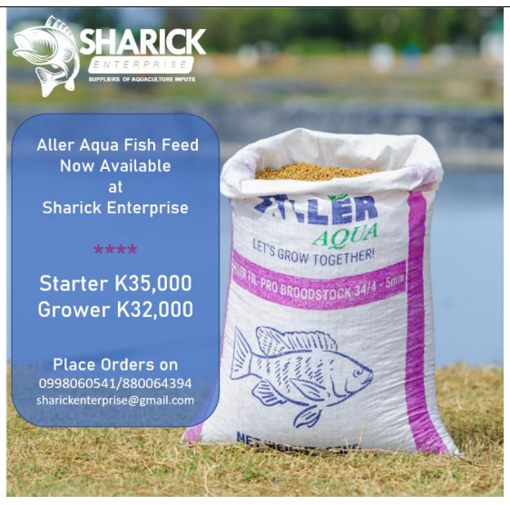 Flipping the oyster farming script